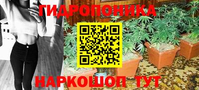 гидра Рыбинск